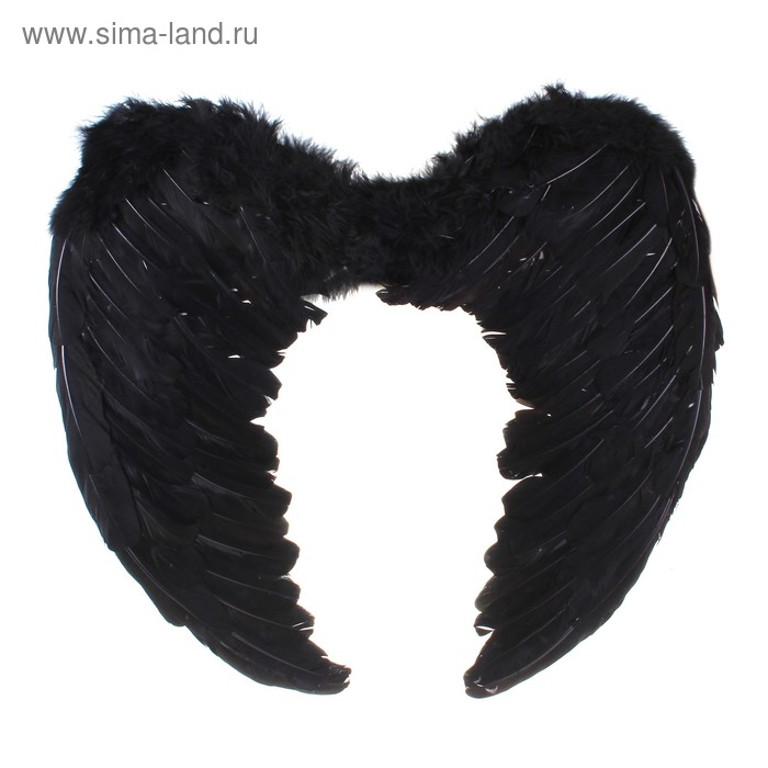 Крылья ангела, 49×49 см, цвет чёрный - Фото 1