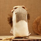 Оберег «Домовой с рублями», в лаптях, 20 см, микс - фото 24450410