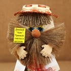 Оберег «Домовой с рублями», в лаптях, 20 см, микс - фото 24450411