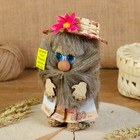 Оберег «Домовой с рублями», в лаптях, 20 см, микс - фото 24450412