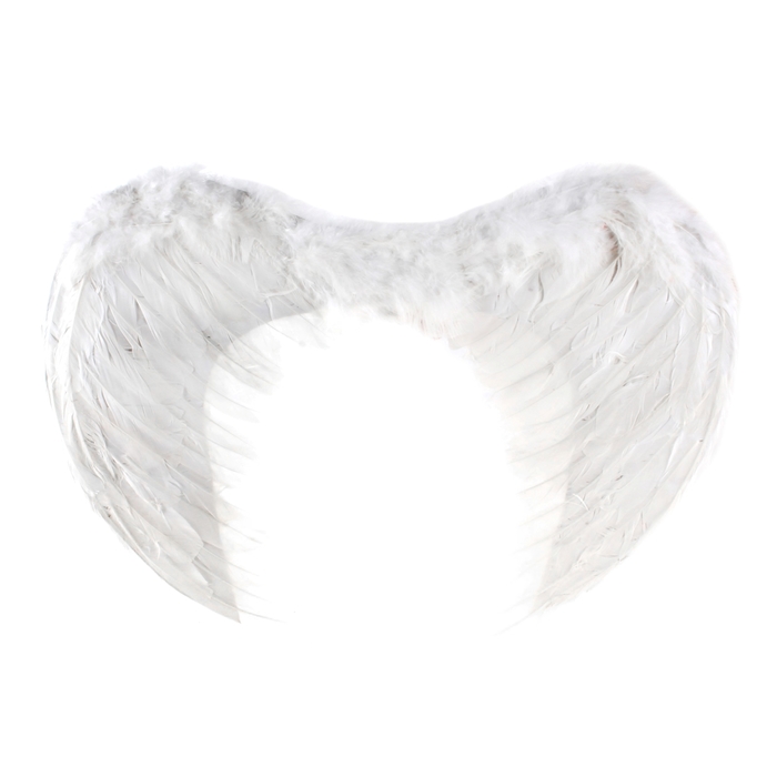 Крылья ангела белые 55см. Крылья ангела детские, на резинке, цвет белый. Аксессуары ангела. Нимб ангела для фотошопа. 05 55 ангельская