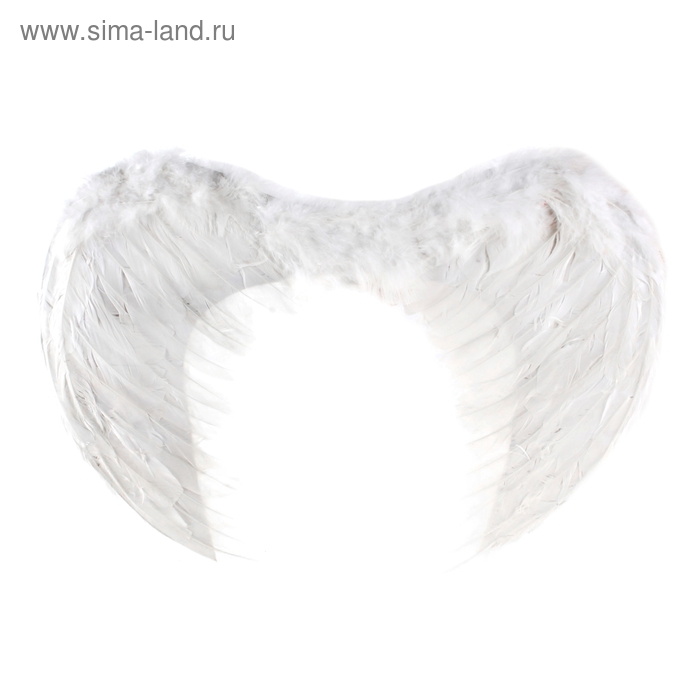 Крылья ангела, 55×40 см, цвет белый - Фото 1