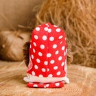 Оберег «Домовой с рублями», микс - фото 20745555