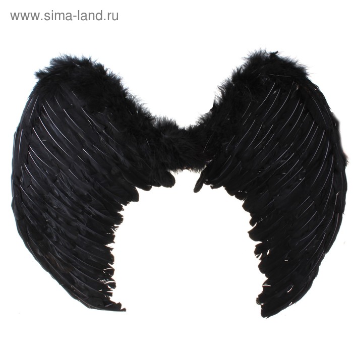 Крылья ангела, на резинке, 75 х 55 см, цвет чёрный - Фото 1