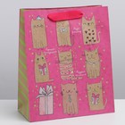 Пакет подарочный крафтовый вертикальный, упаковка, «Милые котики», ML 23 х 27 х 8 см - фото 11848186