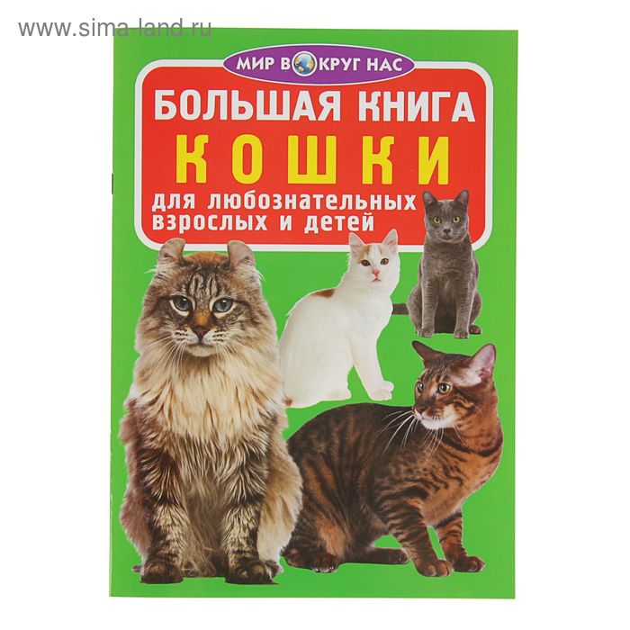 Большая книга «Кошки» - Фото 1