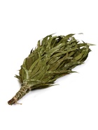 Веник для бани, эвкалиптовый, 53 (±2) см, «Добропаровъ» - Фото 1