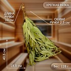 Веник для бани, эвкалиптовый, 53 (±2) см, «Добропаровъ» - Фото 2
