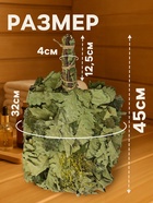 Веник для бани, дубовый, 45 см, с донником - Фото 2