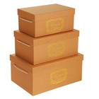 Набор коробок 3 в 1, оранжевый, 32,5 х 22 х 15 - 25 х 16 х 11 см - Фото 5