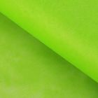 Фетр для упаковок и поделок, однотонный, салатовый, зеленый, двусторонний, рулон 1шт., 0,5 x 15 м - фото 299193943