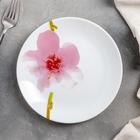 Тарелка десертная Water Color, d=19 см, цвет белый - фото 318005491