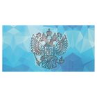Альбом-планшет для монет. Разменные монеты России 2017г на 4 штуки - Фото 3
