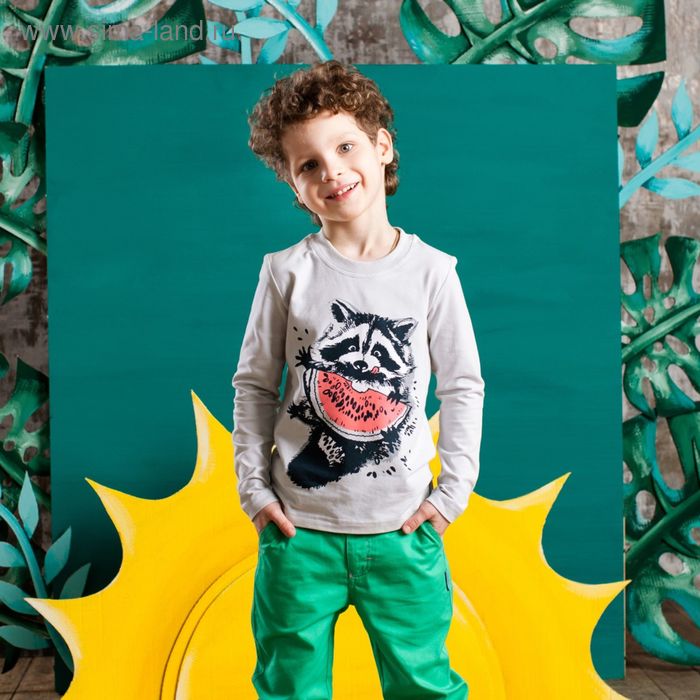 Джемпер для мальчика "Енот", рост 116 см, цвет серый 132-008-02 - Фото 1