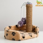Лежанка с когтеточкой для котят, 34 х 26 х 34 см, джут, микс цветов - Фото 2