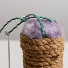 Лежанка с когтеточкой для котят, 34×26×34 см, джут, цвет МИКС - Фото 3