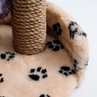 Лежанка с когтеточкой для котят, 34×26×34 см, джут, цвет МИКС - Фото 4