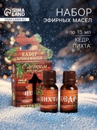 Новогодний набор эфирных масел «С лёгким паром!», пихта и кедр, 2 шт. по 15 мл - Фото 1