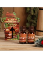 Новогодний набор эфирных масел «С лёгким паром!», пихта и кедр, 2 шт. по 15 мл - Фото 2