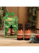 Новогодний набор эфирных масел «Жаркой баньки», чабрец и сосна, 2 шт. по 15 мл - Фото 2