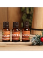 Новогодний набор эфирных масел «С Новым годом! С легким паром!», сосна, эвкалипт и мята, 3 шт. по 15 мл - Фото 3