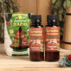 Набор ароматизаторов 2 шт по 100 мл "С легким паром", грейпфрут, лимон, бергамот, пачули - Фото 1