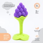 Прорезыватель силиконовый Крошка Я «Виноградик», на ножке - Фото 1