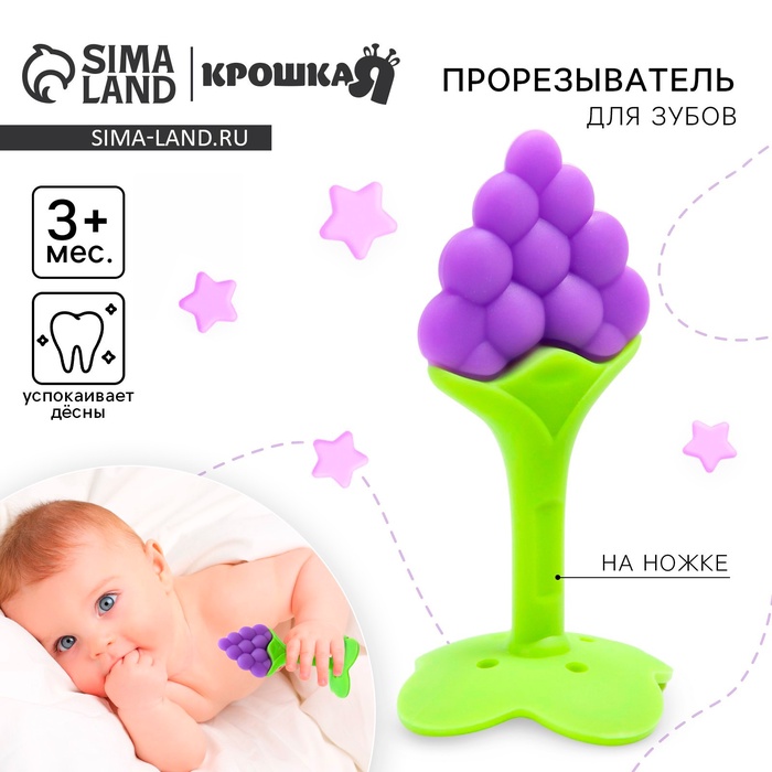 Прорезыватель силиконовый Крошка Я «Виноградик», на ножке - Фото 1