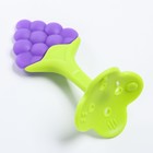 Прорезыватель силиконовый Крошка Я «Виноградик», на ножке - Фото 3