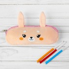 Школьный пенал «Зайчик», мягкий, 20х6,5 см - Фото 1