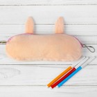 Школьный пенал «Зайчик», мягкий, 20х6,5 см - Фото 2