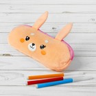 Школьный пенал «Зайчик», мягкий, 20х6,5 см - Фото 3