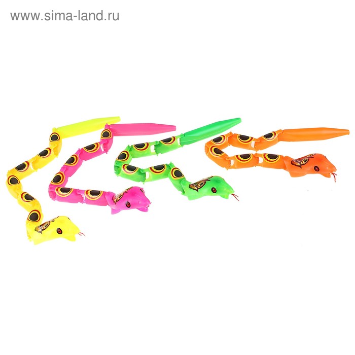 Игрушка "Кобра" с рисунком на спине, цвета МИКС - Фото 1