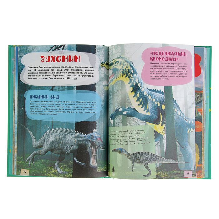 Большая детская энциклопедия динозавров - фото 1890699115