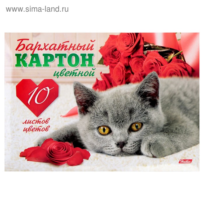 Картон цветной бархатный А5, 10 листов, 10 цветов "Котенок" - Фото 1