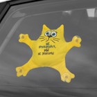 Автоигрушка «Не прижимайся, мы не знакомы», кот, на присосках - фото 8341094