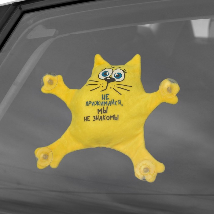 Автоигрушка «Не прижимайся, мы не знакомы», кот, на присосках - фото 1905422508