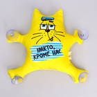 Игрушка для автомобиля «Никто кроме нас», на присосках - Фото 3