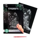 Гравюра «Щенок хаски» с металлическим эффектом «серебро» А4 - Фото 2