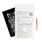 Гравюра «Щенок хаски» с металлическим эффектом «серебро» А4 - Фото 5