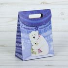 Пакет подарочный «С теплыми пожеланиями», 12 × 16 × 6 см - Фото 1