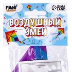 Воздушный змей «Орёл хвостатый», с леской, виды МИКС - Фото 3