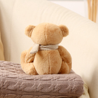 Мягкая игрушка «Мишка», в вязаном шарфике, МИКС - Фото 5