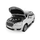 Упоры капота Rival для Datsun mi-DO 2015-н.в., 2 шт., A.ST.8701.1 - Фото 2
