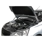 Упоры капота Rival для Datsun mi-DO 2015-н.в., 2 шт., A.ST.8701.1 - Фото 3