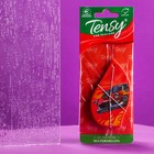 Ароматизатор подвесной Tensy картонный, Арбуз TA-05 МИКС - Фото 7