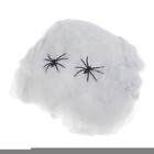 Прикол «Паутина и 2 паука» - фото 14842534