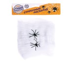 Прикол «Паутина и 2 паука» - Фото 2