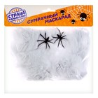 Прикол «Паутина и 2 паука» - Фото 3