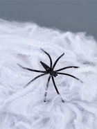 Прикол «Паутина и 2 паука» - Фото 6